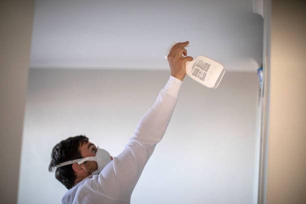 Best Kitchen Mold Remediation in Groveport, OH